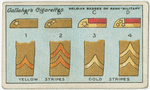 Belgian badges of rank - military.