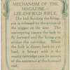 Mechanism of the magazine - Lee Enfield rifle.