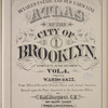 Detailed Estate and Old Farm Line Atlas of The City of Brooklyn. Complete In Six Volumes. Vol. 4. Comprising Wards 8 & 22. From Official Records, Private Plans and Actual Surveys, Based upon the Plans deposited in the Assessors Office