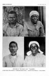 Survivors from the cargo of the Negro slave yacht "Wanderer"