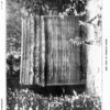 Survivors from the cargo of the Negro slave yacht "Wanderer"
