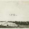 A cotton-field in Southern California, the Imperial Valley, which lies 120 feet below sea level
