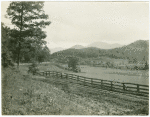 Farm in Jackson California