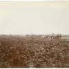 Plowing scene, Delta Lands, San Jaoquin Valley, California. The first breaking of the land