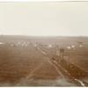 General view of Riverside Ranch, Delta Lands, San Joaquin Valley, California