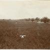 Man walking through field of alfalfa