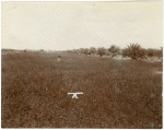 Man walking through field of alfalfa