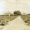 Modest vineyard farmhome