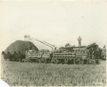 Workers harvesting rice