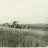 Sacks of rice loaded on an automobile