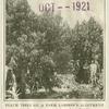 Men standing among peach trees on land settlement in Durham California