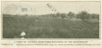 Man walking through field of alfalfa