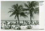 Palms, sea and sun. Miami Beach Florida