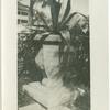 Potted plant in St. Augustine, Florida