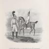 Kavalergardy i Kavalergardskii ofitser 1803 g. pri Imperatore Aleksandre I