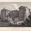 Vue des deux temples et du palais du Podestat.