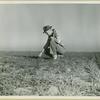 Farmer examines wheat