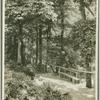 Mammoth Cave, pathway to the entrance
