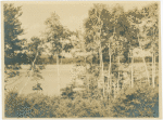 Birch Lakeshore, Lake Sunapee, N.H.