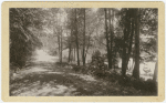 Trail near Monadnock Mountain