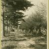 The well worn path leading from the mansion to the Princess Zenaide's residence