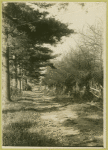 The well worn path leading from the mansion to the Princess Zenaide's residence