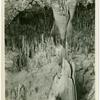 Carlsbad Cavern