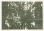 Magnolia Gardens
