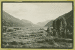 From Tower of Hotel Field at Stehekin