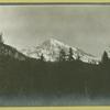 Mt. Rainier from National Park Inn