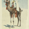 France, Colonies, 1896