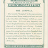The Lymphad.