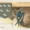 The Martlet.