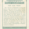The Oak Tree.