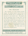 The Escallop.