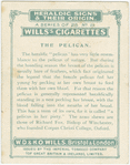 The Pelican.