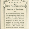 Baskets of sardines.