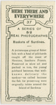 Baskets of sardines.