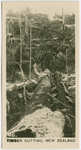 Timber cutting, New Zealand.