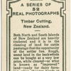 Timber cutting, New Zealand.
