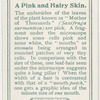 A pink and hairy skin.