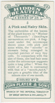 A pink and hairy skin.