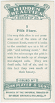 Pith stars.