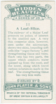 A leaf slice.