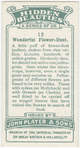 Wonderful flower-dust.