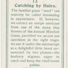 Catching by hairs.