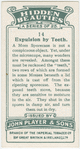 Expulsion by teeth.