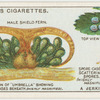 A jerking ring.