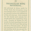 Triangular wing movement.