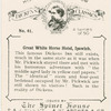 Great White Horse Hotel, Ipswich.